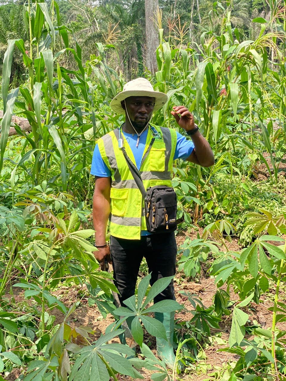 TMG agriculture initiative