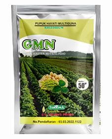 RHIZOBIUM TMG