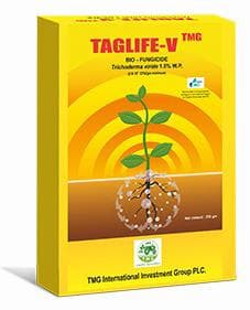 TAG LIFE V