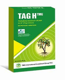 TMG TAG H