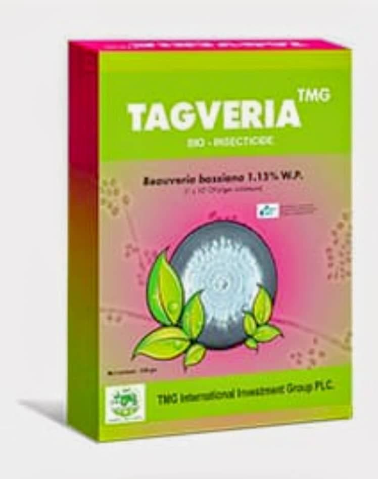 products - TMG TAG VERIA